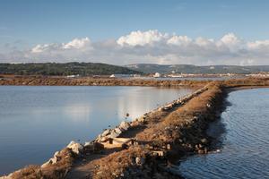 Salins de Reprise La Clape view
