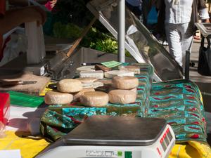 goat cheese